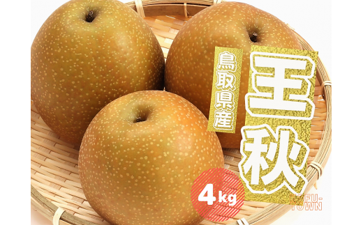 王秋 梨4kg 4～13玉前後 鳥取県産 先行予約受付 2025年秋冬収穫分 なし 4キロ TM40  0695