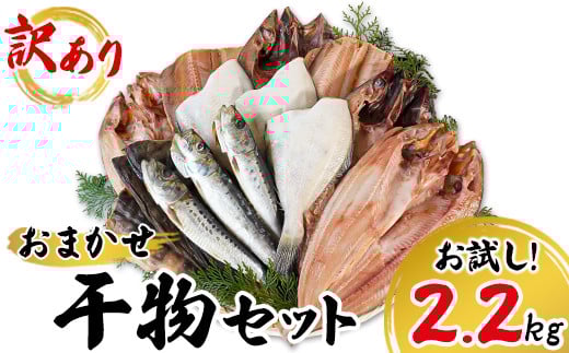 【2025年12月下旬発送】 訳あり 干物 詰め合わせセット 2.2kg 真ホッケ 縞ホッケ サバ イワシ 北海道