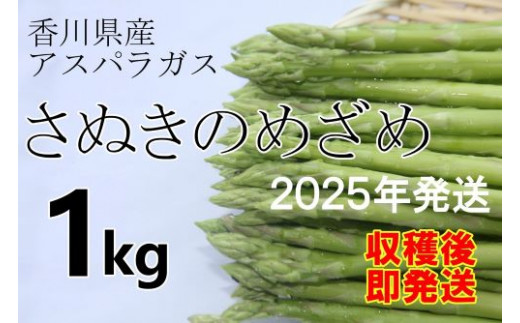 2025年産　善通寺市産アスパラ｢さぬきのめざめ」１kg