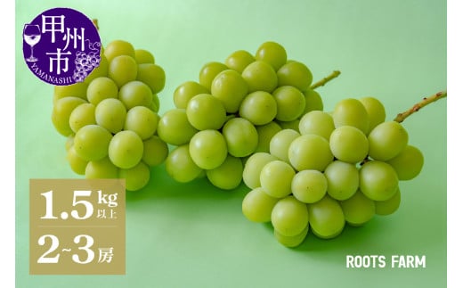 【数量限定】高品質なROOTS FARMシャインマスカット 1.5kg以上 2～3房入【2025年発送】（RO）C-135【シャインマスカット 葡萄 ぶどう 令和7年 2025年発送 期間限定 先行予約 種なし ブドウ 山梨県産 甲州市 新鮮 高品質 ギフト フルーツ 】