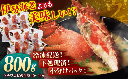 【甘くてプリプリ♪一度は食べてほしい！】漁師直送！ 希少！平戸の「うちわえび」 半身セット 約800g(10～14切) ウチワエビ 海老 エビ【ひばり】[KAA062]ウチワエビ 海老 エビ 魚介類 海鮮 グルメ 通販 お取り寄せ ギフト プレゼント 長崎