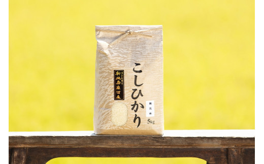 【頒布会】【令和7年産 新米予約】南魚沼産コシヒカリ（無洗米5kg×全12回）【令和7年11月上旬より順次発送予定】