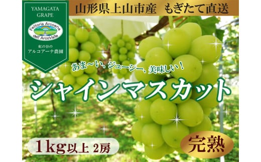 【樹上完熟】シャインマスカット 1kg(もぎたて直送) 0148-2512