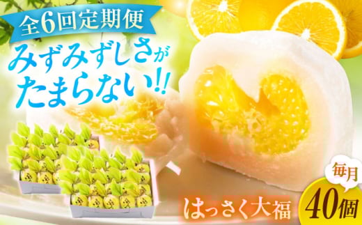 【全6回定期便】お菓子 はっさく大福20個入×2　 お菓子 大福 八朔 柑橘 みかん オレンジ 餅 ギフト お取り寄せ スイーツ フルーツ大福 ご当地 菓子 おかし デザート 食品 人気 おすすめ 広島県福山市/株式会社虎屋本舗[BADH035]