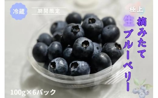 D5極上摘みたてブルーベリー　100g×6パック【期間限定】