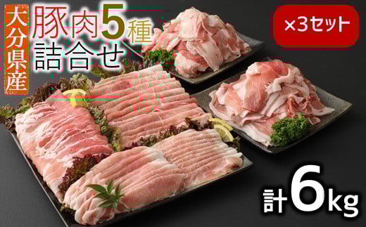 ＼選べる内容量‼／ 小分けされてるから便利♪大分県産 豚詰め合わせ５種（約６ｋｇ）