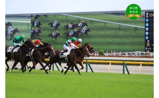東京競馬場！観覧席が再登場！