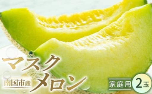 高知県南国市産／ご家庭用マスクメロン（2個）