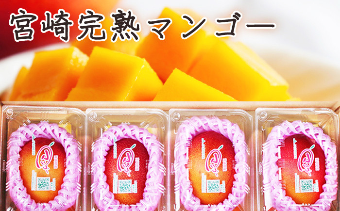 2Lサイズ４個なので圧巻の存在感です！　寄附金額 23,000円