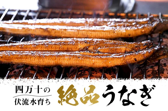 四万十川の伏流水で育った絶品うなぎ