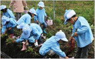 子育て支援・教育の充実