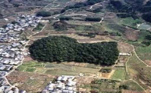 5. 「古墳のまち」の推進
