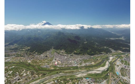 市川三郷町長におまかせ